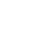 newstar-BRANCO-FAST
